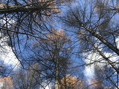 -叠溪松坪沟景区