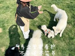 -趣玩宠物乐园寄养训犬训狗游泳池
