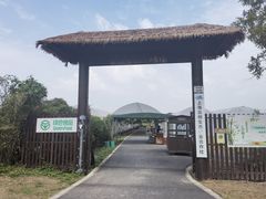 -广富林郊野公园
