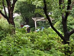 -兰溪青年公园