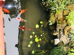 -松云泽