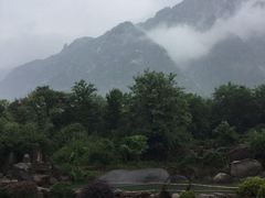 莲峰云海景区-莲峰云海景区