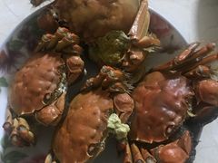 -丫丫蟹庄·苏式园林农家乐·阳澄湖大闸蟹(阳澄湖莲花岛店)