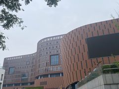 -中国宋庆龄青少年科技文化交流中心