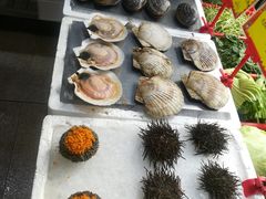 -蚝专家(北滘店)