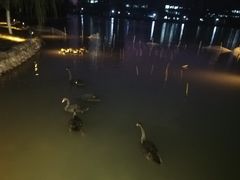 -陕西科技大学福慧图书馆