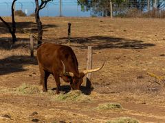 -威勒比开放式动物园
