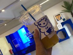 凤梨百香-Blue Concept Cafe&Farm·關於藍