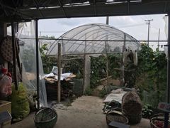 -马陆小张葡萄园农家乐