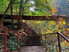 -龙道沟景区