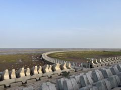 -南汇嘴观海公园