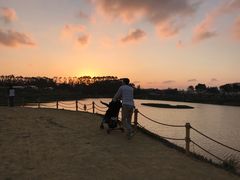 -光明小镇欢乐田园