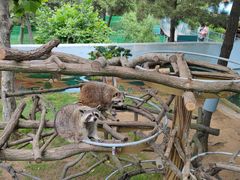 -西霞口神雕山野生动物世界