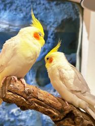 -Zoolung Zoolung动物主题公园(海信广场店)