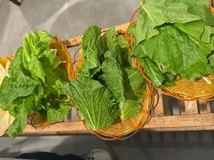 -蘑统田下·野生菌火锅