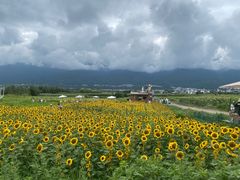 -大理洱海