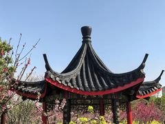 -南汇桃花村
