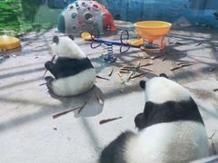 -鄂尔多斯野生动物园