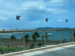 -JW万豪厨房餐厅·滨海草坪烧烤·海鲜·海景(三亚绿发山海天JW万豪酒店)