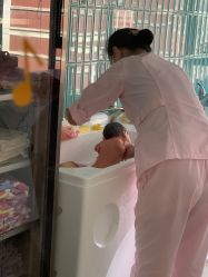 -安馨月子会所(旗舰店)