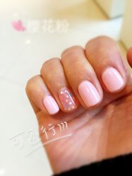 -BELLAREAL新美社