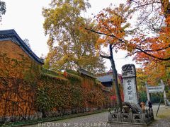 -灵谷景区