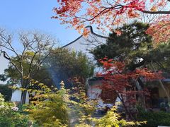 -龙华寺