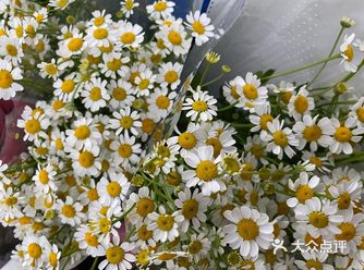 三圣乡仅剩的一点点买花的地方了