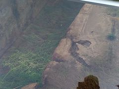 -秦始皇帝陵博物院(兵马俑)