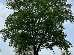 -东钱湖旅游度假区