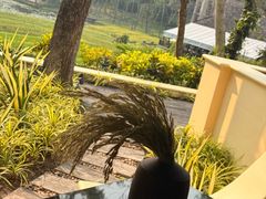 -四季酒店下午茶