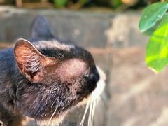 -归觅·西关小姐人文艺术馆(荔枝湾店)