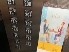 -339旋转餐厅(天府熊猫塔店)