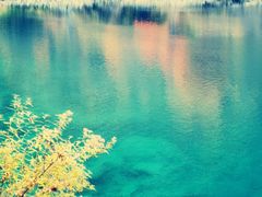 -叠溪松坪沟景区