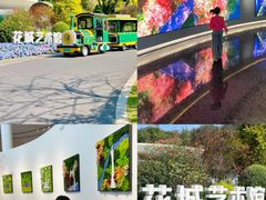 -云溪植物园