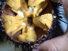 -海胆小馆(东北水饺·春柳店)