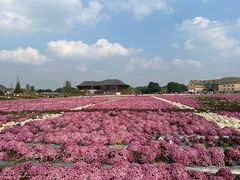 -中国天府农业博览园