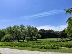 -上海共青森林公园
