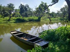 -鹤之洲湿地公园