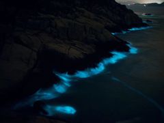 -阿军排档·烧烤