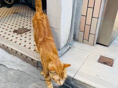 -大澳渔村及棚屋