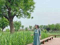 -汉长安城未央宫国家考古遗址公园