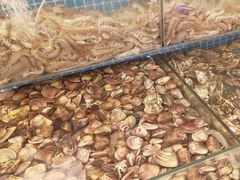 -港畔赶海蒸汽海鲜烧烤自助(仙螺岛店)