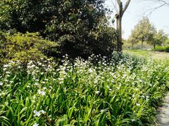 景点-蠡湖大桥公园