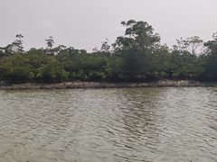 -东寨港红树林旅游区