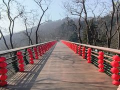 -青岛海滨风景区