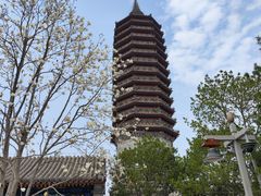 -西海子公园