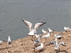 -聂荣臻元帅陈列馆