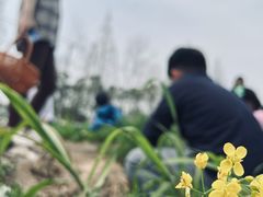 -源香农宝·亲子采摘·钓虾·科普研学