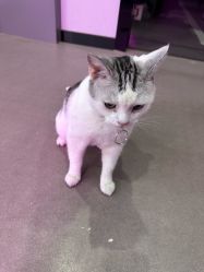 -CICI街舞专业培训